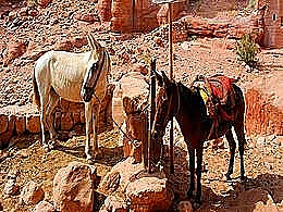 diaporama pps A Petra