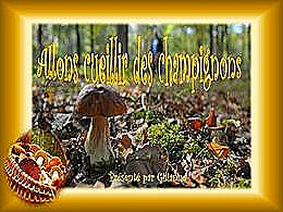 diaporama pps Allons cueillir des champignons