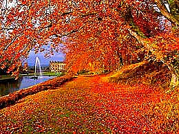 diaporama pps Automne – Les feuilles