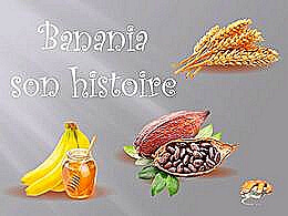 diaporama pps Banania son histoire