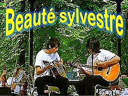 diaporama pps Beauté Sylvestre