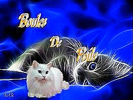 diaporama pps Boules de poils