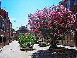 diaporama pps Burano – Italie