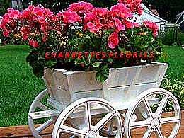 diaporama pps Charrettes fleuries