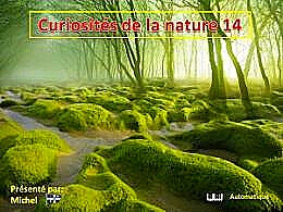 diaporama pps Curiosités de la nature 14