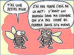 diaporama pps De l’humour 5