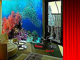 diaporama pps Monde des coraux et fonds marins 2