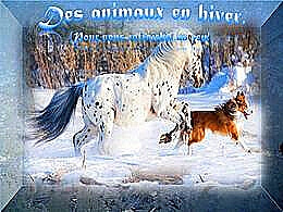 diaporama pps Des animaux en hiver