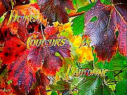 diaporama pps Douces couleurs de l’automne