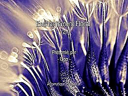 diaporama pps Enchantement floral 2