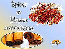 diaporama pps Épices et plantes aromatiques
