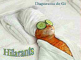 diaporama pps Hilarants