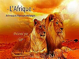 diaporama pps L’Afrique animaux et paysages mélangés