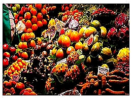 diaporama pps L’association la tente des glaneurs