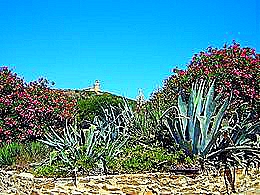 diaporama pps L’Île du Levant