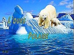 diaporama pps L’ours polaire
