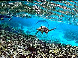 diaporama pps La barrière de corail