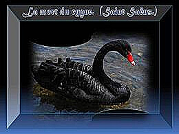 diaporama pps La mort du cygne
