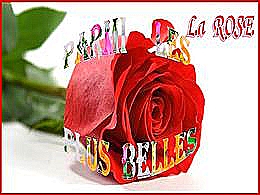 diaporama pps La rose