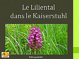 diaporama pps Le Liliental – Allemagne