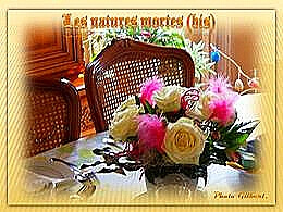 diaporama pps Les natures mortes bis