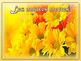 diaporama pps Les natures mortes