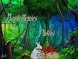 diaporama pps Merveilleuses photos