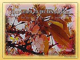 diaporama pps Mon jardin au gré des saisons