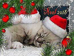 diaporama pps Noël 2018