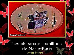 diaporama pps Oiseaux et papillons