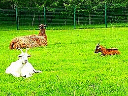 diaporama pps Parc St Louis Saône-et-Loire