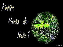 diaporama pps Petits ponts de bois I