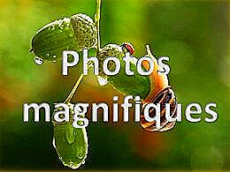 diaporama pps Photos magnifiques