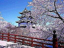 diaporama pps Printemps japonais