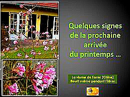 diaporama pps Prochaine arrivée du printemps