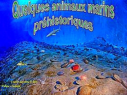 diaporama pps Quelques animaux marins préhistoriques