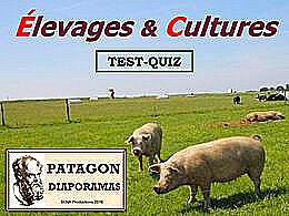diaporama pps Quiz élevages et cultures