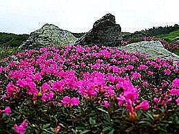 diaporama pps Randonnée dans le massif de Ciucas
