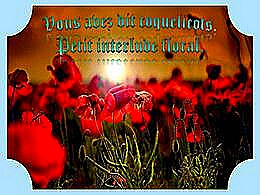 diaporama pps Vous avez dit coquelicots