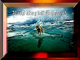 diaporama pps Vous avez dit Sibérie