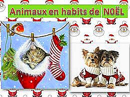 diaporama pps Animaux en habits de Noël