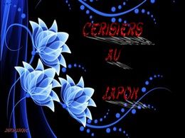 diaporama pps Cerisiers au Japon