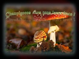 diaporama pps Champignons dans tous leurs états