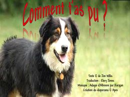 diaporama pps Comment t’as pu ?