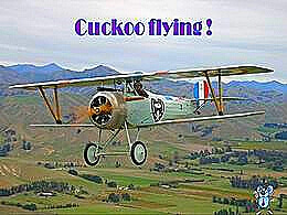 diaporama pps Cuckoo flying