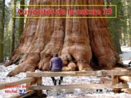 diaporama pps Curiosités de la nature 19