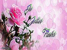 diaporama pps De jolies fleurs
