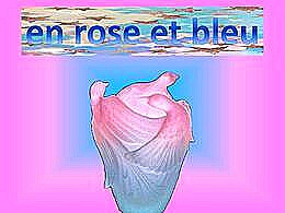 diaporama pps En rose et bleu