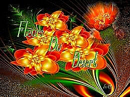 diaporama pps Fleurs du désert