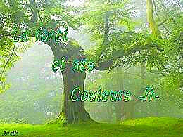 diaporama pps La forêt et ses couleurs II